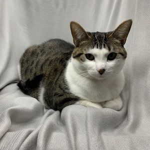 Meet your Posher, Elissa